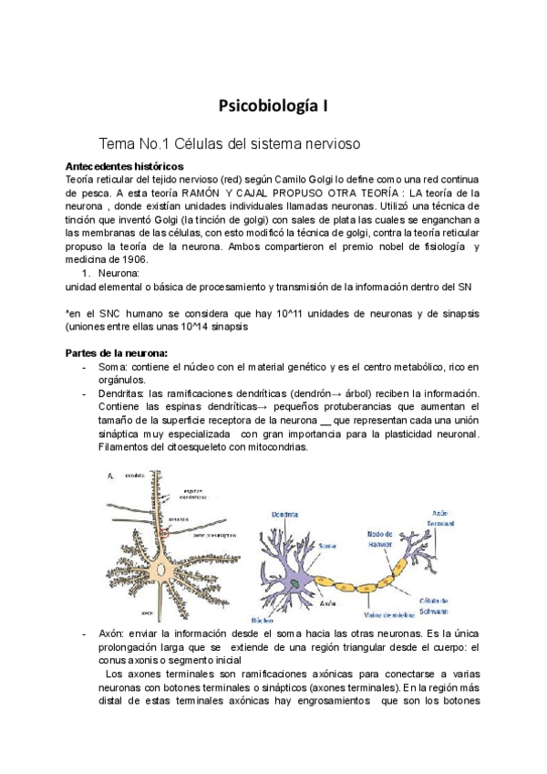 Miniatura del documento Fundamentos-de-Psicobiologia-I-Tema-1-2.pdf