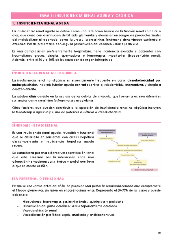 Miniatura del documento TEMA-5-INSUFICIENCIA-RENAL-AGUDA-Y-CRONICA.pdf