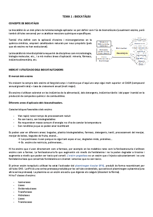 Miniatura del documento T1.-Biocatalisi.pdf