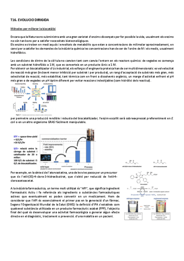 Miniatura del documento T16.-Evolucio-dirigida.pdf