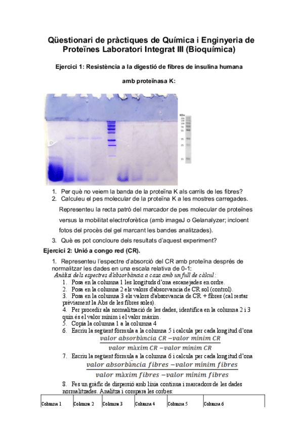 Miniatura del documento Questionari-2021-2022.pdf