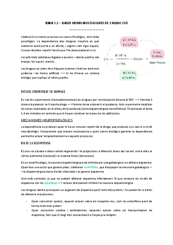 Miniatura del documento TEMA-1.3-BASES-NEUROBIOLOGIQUES-DE-LADDICCIO.pdf