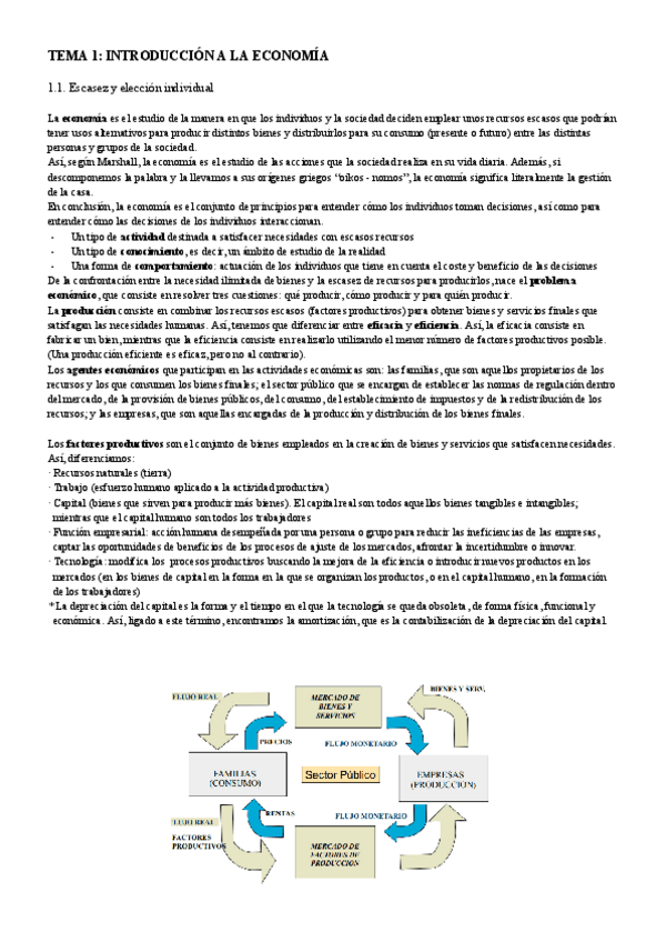 Miniatura del documento tema-1-economia.pdf