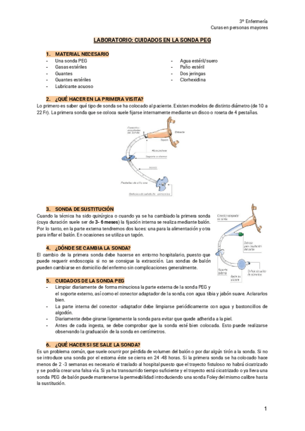 Miniatura del documento LABORATORIO-CUIDADOS-EN-LA-SONDA-PEG.pdf