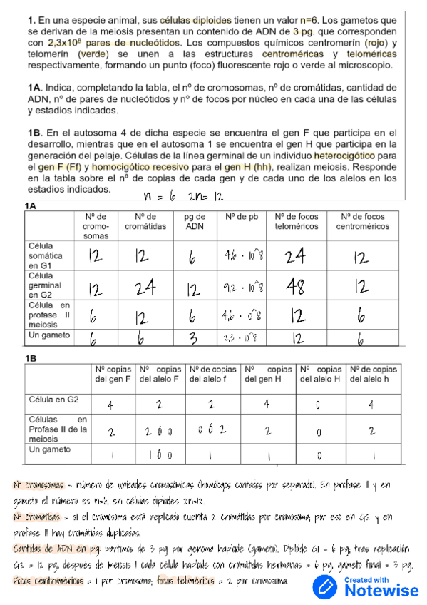 Miniatura del documento Serie-1-mend.pdf