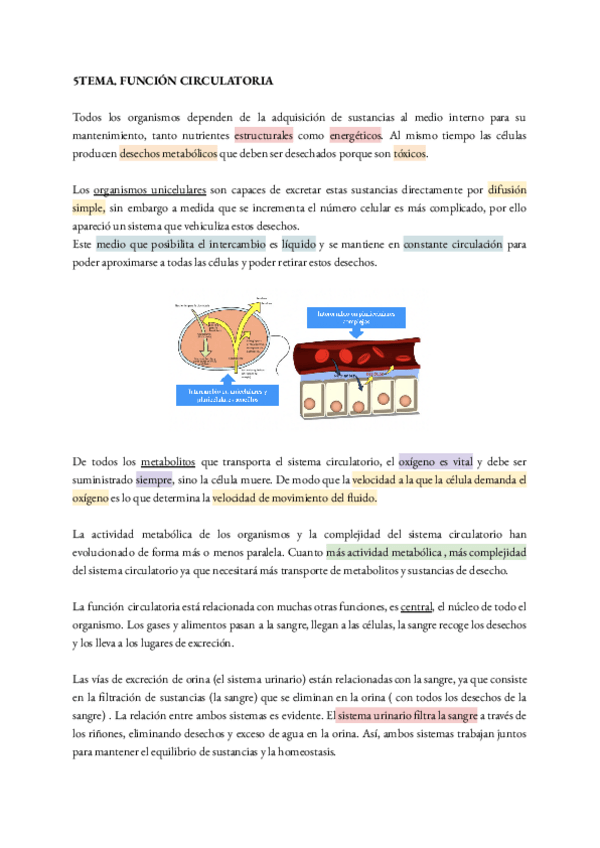 Miniatura del documento TEMA-5.pdf