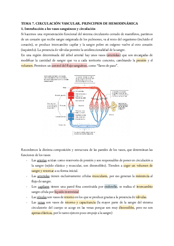 Miniatura del documento tema-7.pdf