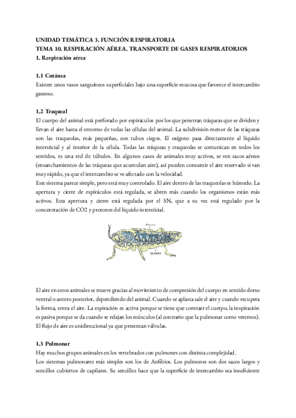 Miniatura del documento tema-10.pdf
