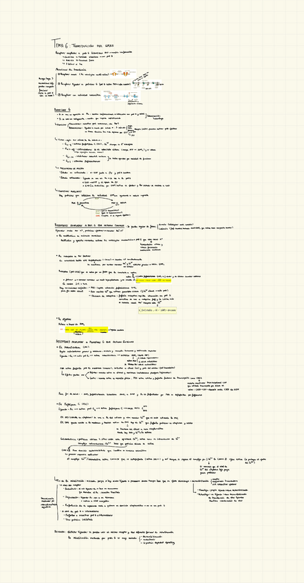 Miniatura del documento TEMA-6-FISIO.pdf