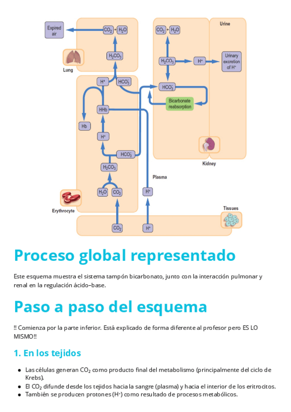 Miniatura del documento Explicacion-Esquema.pdf
