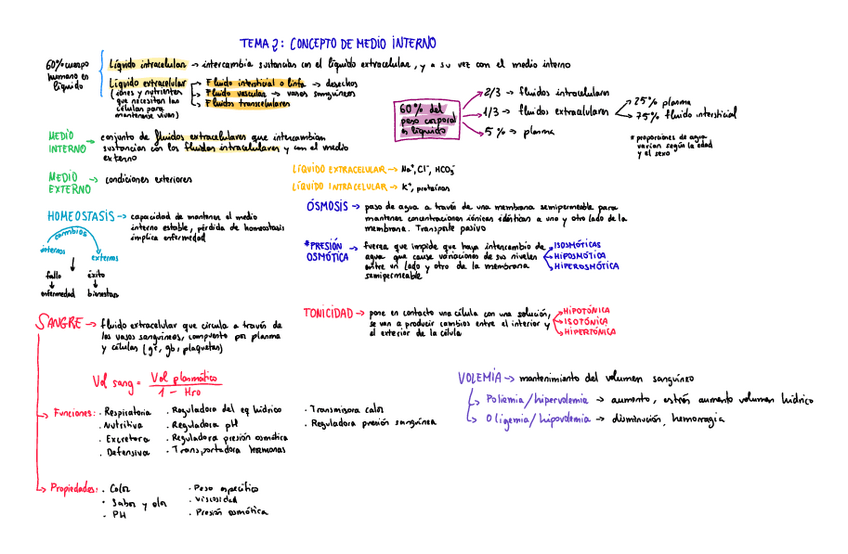 Miniatura del documento TEMA-2-CONCEPTO-DE-MEDIO-INTERNO.pdf
