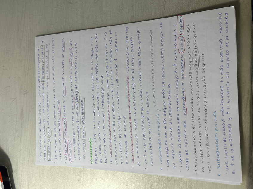 Miniatura del documento IMG0521.jpeg