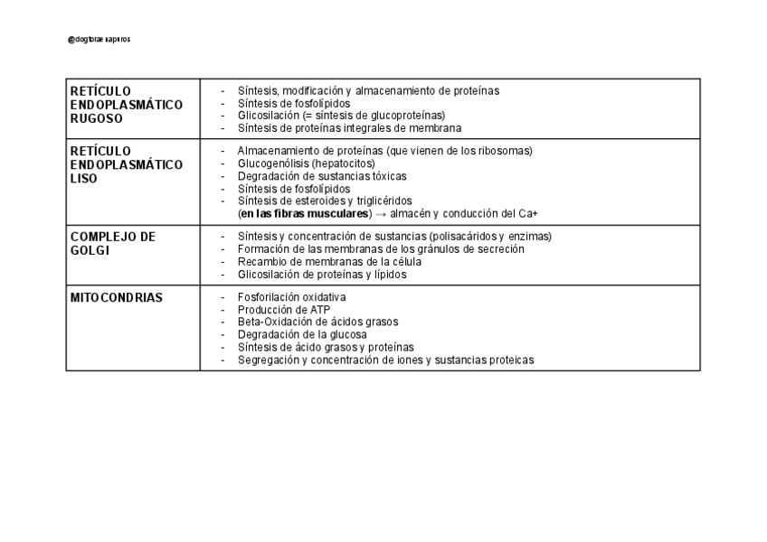 Miniatura del documento tabla-de-funciones-de-organulos.pdf