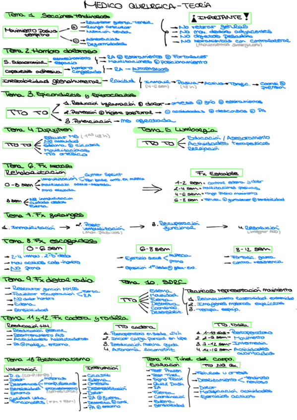Miniatura del documento Medico-Quirurgica-teoria.pdf