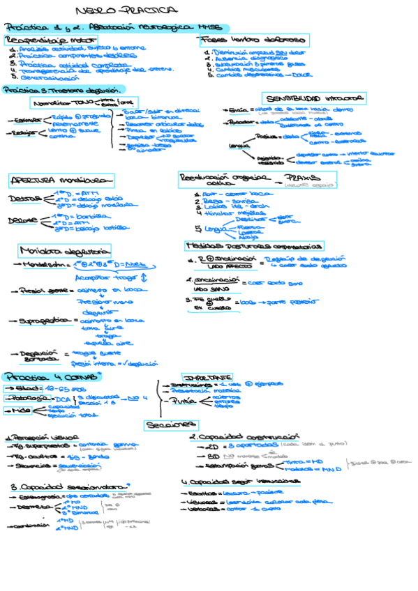 Miniatura del documento Neuro-Practica.pdf
