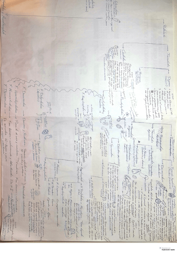 Miniatura del documento esquema-segundo-bloque.pdf