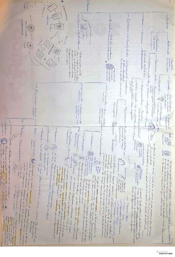 Miniatura del documento esquema-primer-bloque.pdf