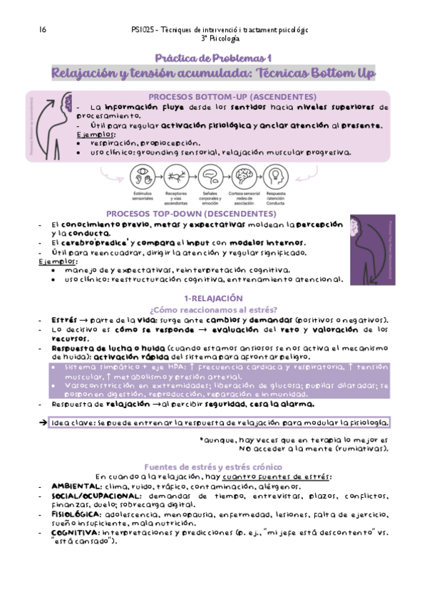 Miniatura del documento PR-1-RELAJACION.pdf
