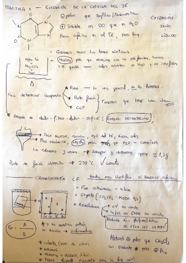 Miniatura del documento PRACTICAS-2025-26.pdf