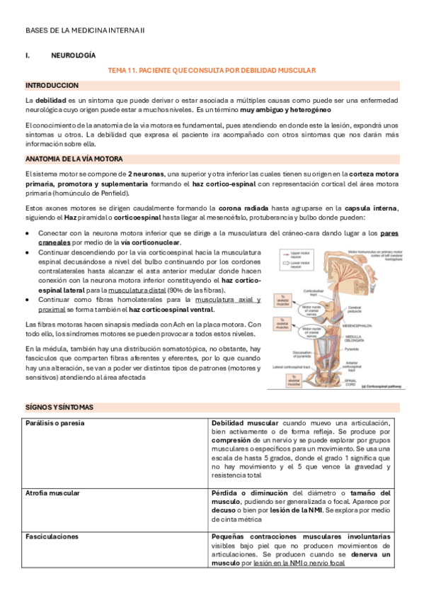 Miniatura del documento Paciente-que-consulta-por-debilidad-muscular.pdf