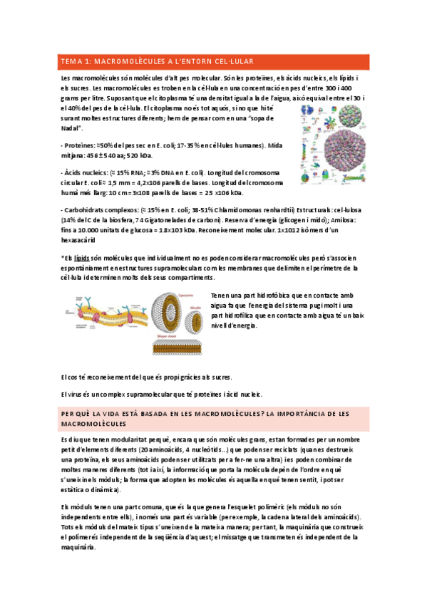 Miniatura del documento tema-1.pdf