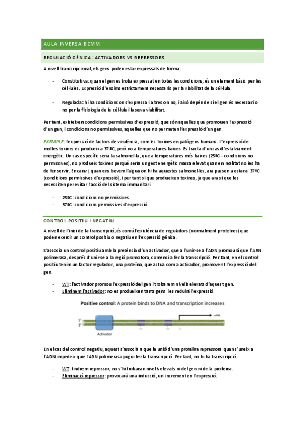Miniatura del documento aula-inversa-bcmm.pdf