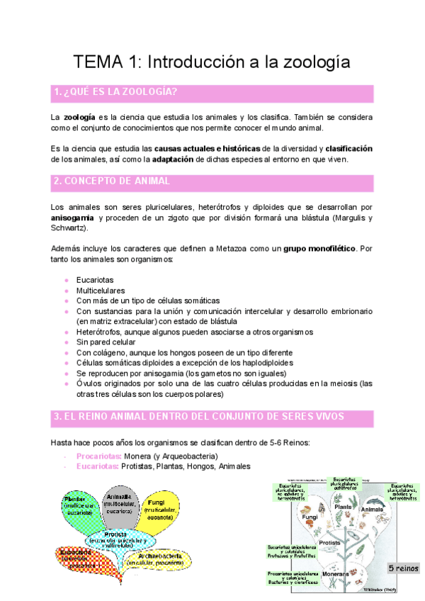 Miniatura del documento TEMA-1-Introduccion-a-la-zoologia.pdf