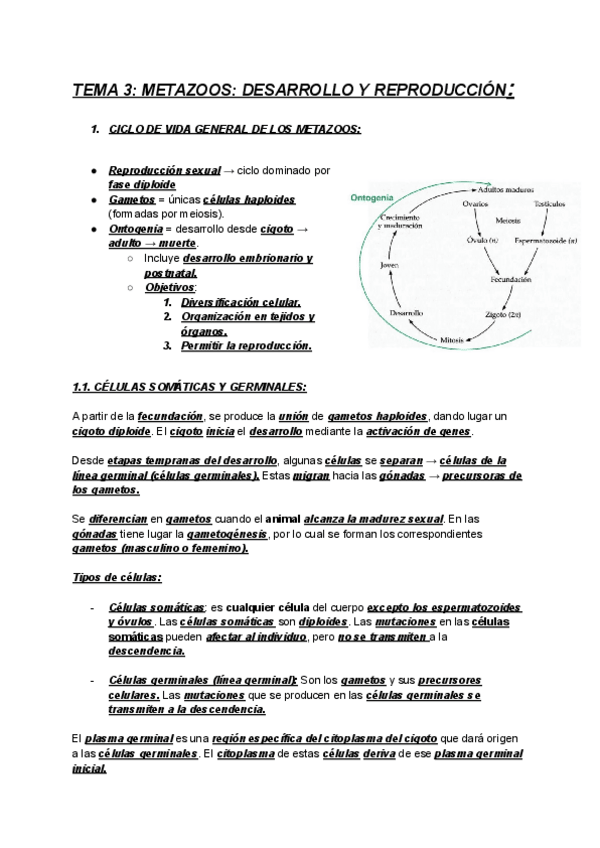 Miniatura del documento ZOOLOGIA-TEMA-3.pdf
