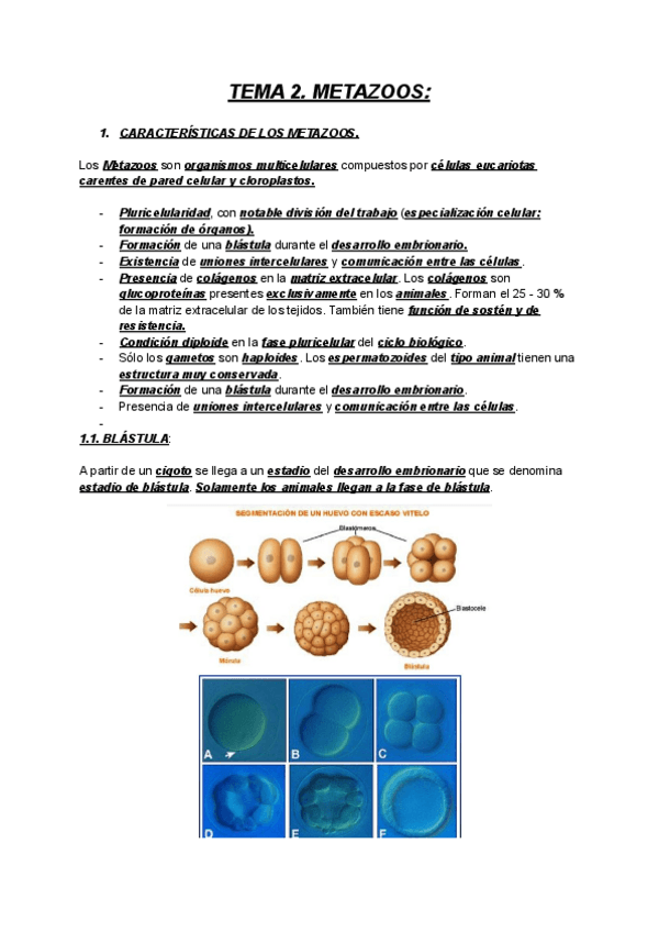 Miniatura del documento ZOOLOGIA-TEMA-2.pdf