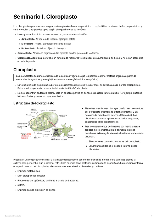 Miniatura del documento Seminario-I.-Cloroplasto.pdf
