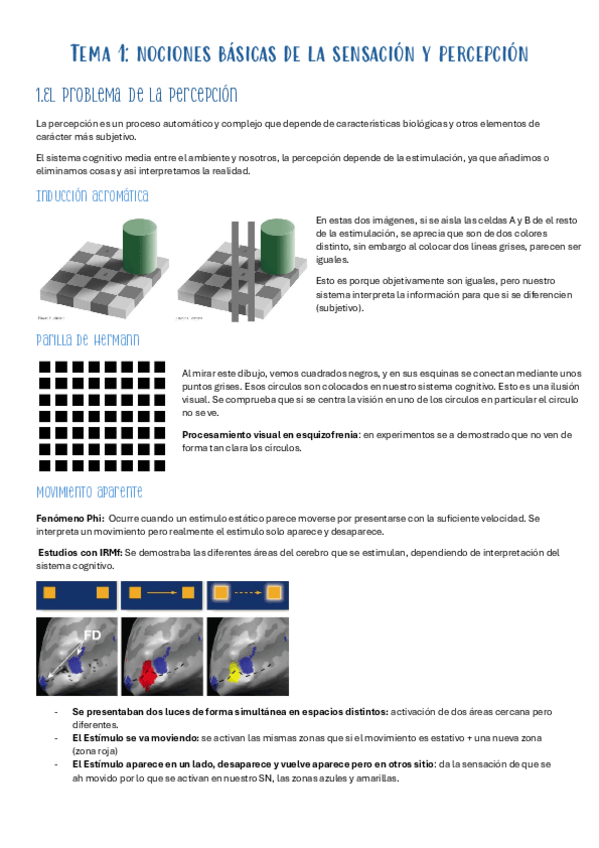 Miniatura del documento Tema-1.-Psicologia-de-la-percepcion.pdf