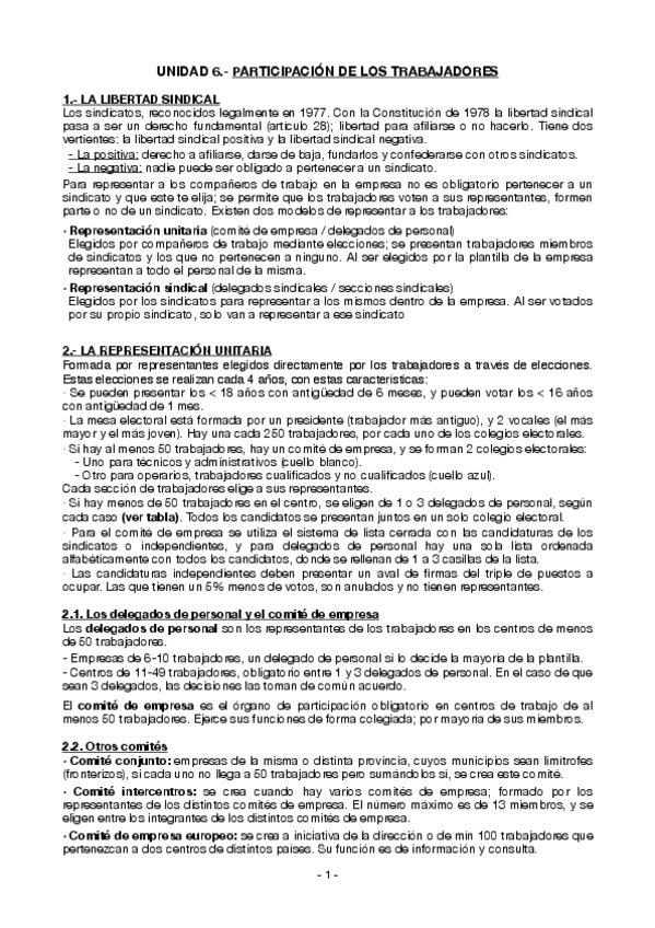 Miniatura del documento Participacion-de-los-trabajadores.pdf