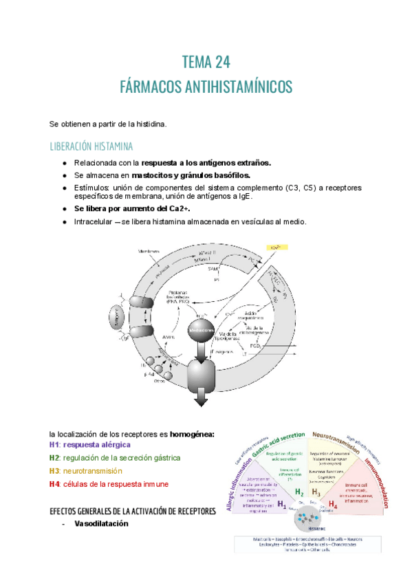 Miniatura del documento Farma-T24.pdf