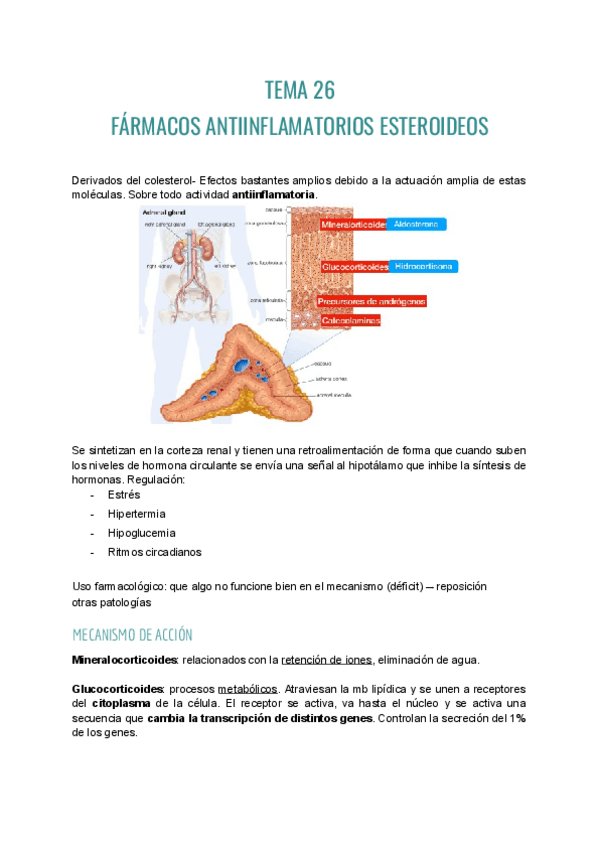 Miniatura del documento Farma-T26.pdf