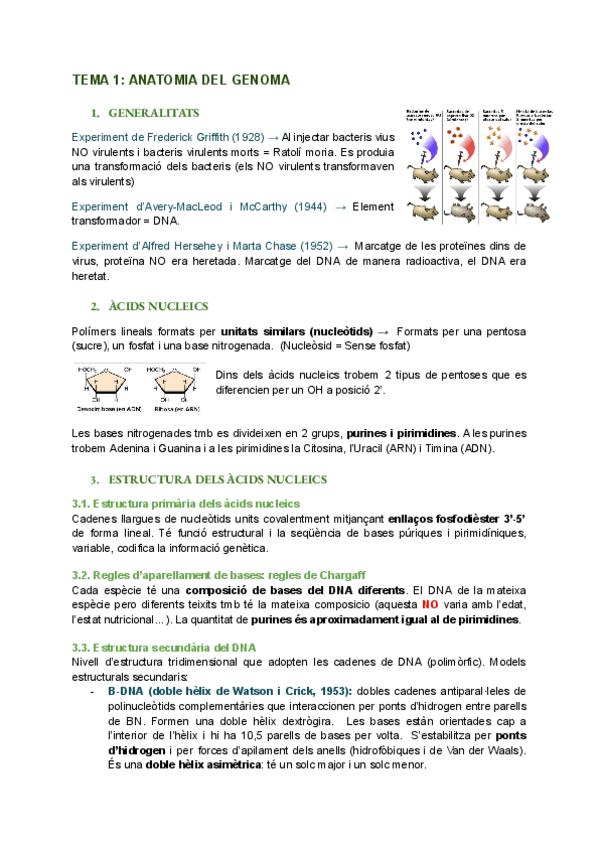 Miniatura del documento Tema-1-I-Anatomia-del-genoma.pdf