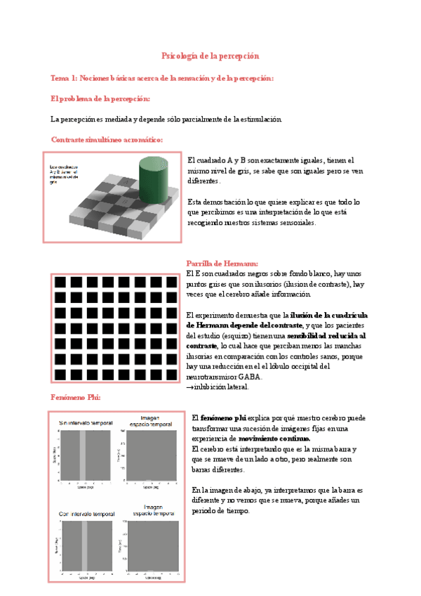 Miniatura del documento tema-1-percepcion.pdf