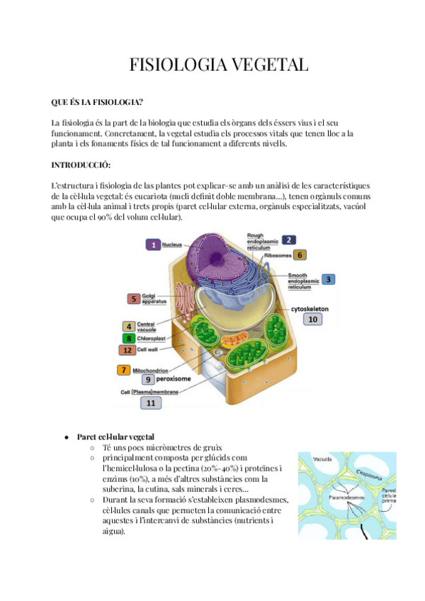 Miniatura del documento 1r-BAT-FISIOLOGIA-VEGETAL.pdf