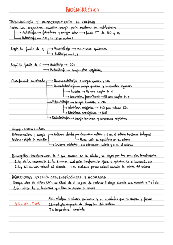 Miniatura del documento 2.-Bioenergetica-y-compuestos-ricos-en-energia.pdf