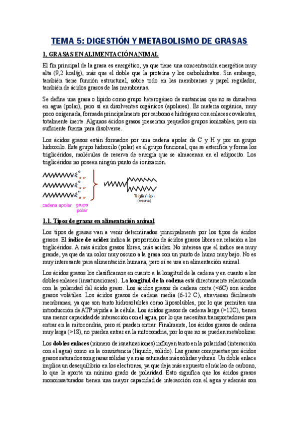 Miniatura del documento TEMA-5-Grasas.pdf