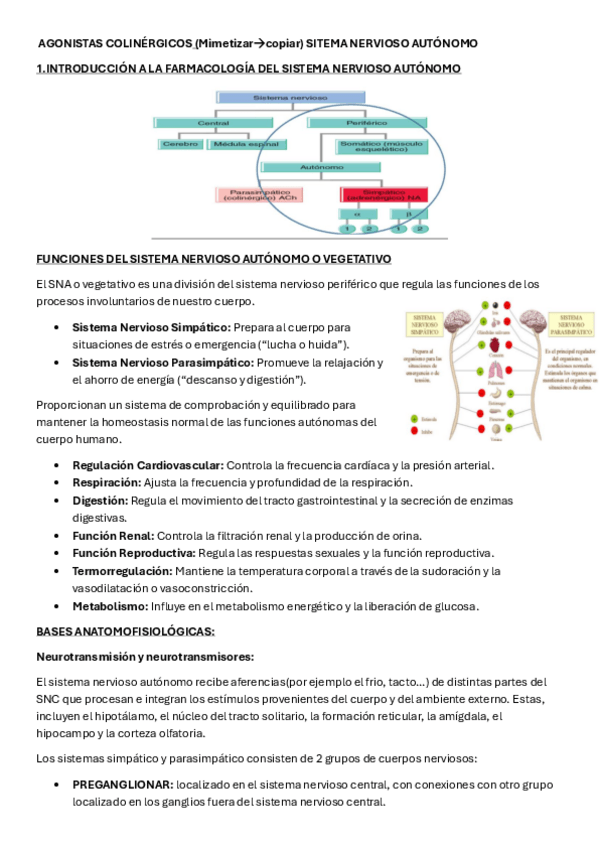 Miniatura del documento TEMA-6-FARMA.pdf