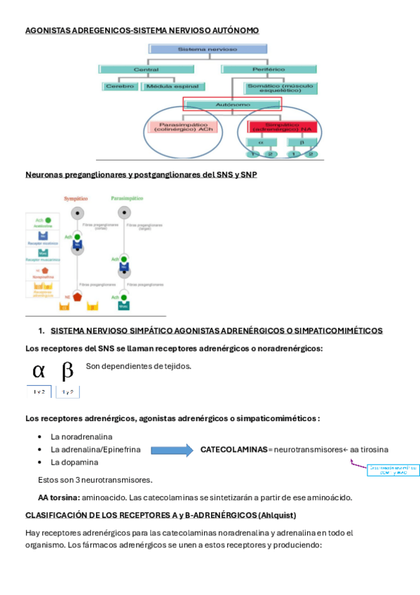 Miniatura del documento TEMA-8-FARMA.pdf