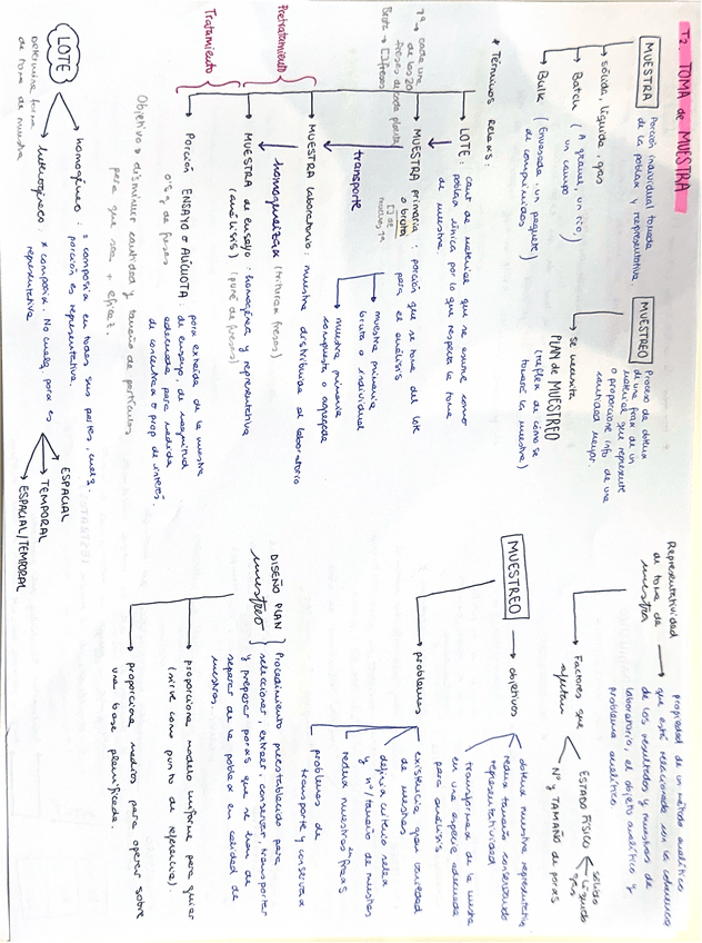 Miniatura del documento T2-Esquema-QA.pdf