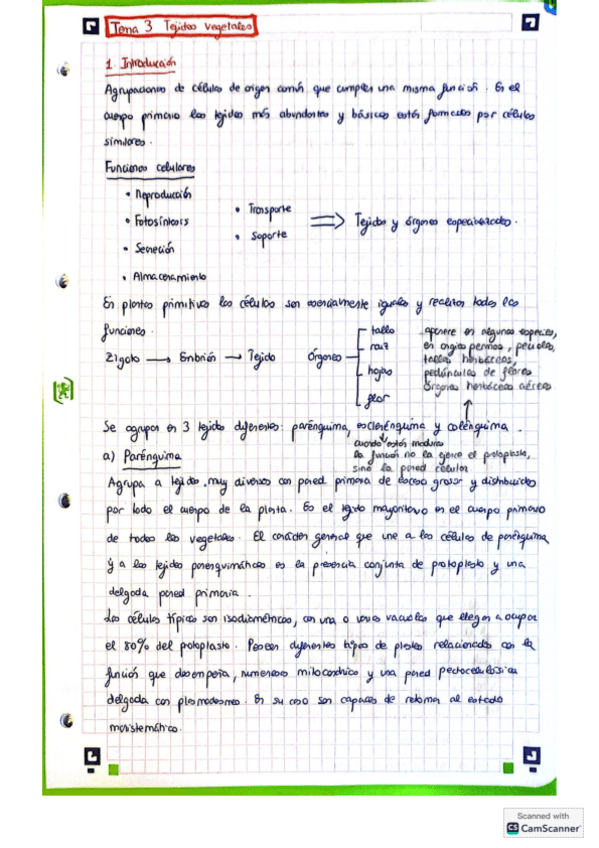 Miniatura del documento Tema-3-anatomia.pdf