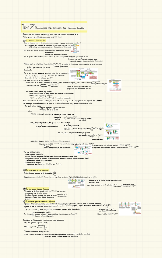Miniatura del documento Tema-7-FISIO.pdf