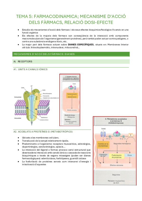 Miniatura del documento TEMA-5.pdf