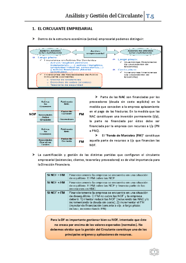 Miniatura del documento TEMA 5 (X).pdf