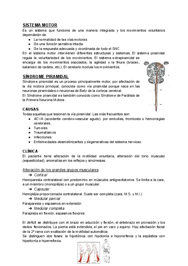 Miniatura del documento SISTEMA-MOTOR.pdf