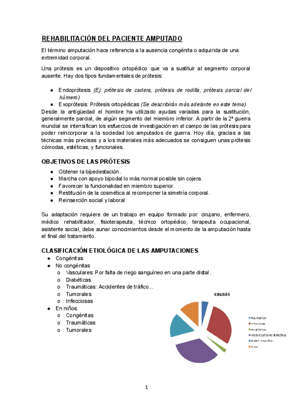 Miniatura del documento REHABILITACION-DEL-PACIENTE-AMPUTADO.pdf
