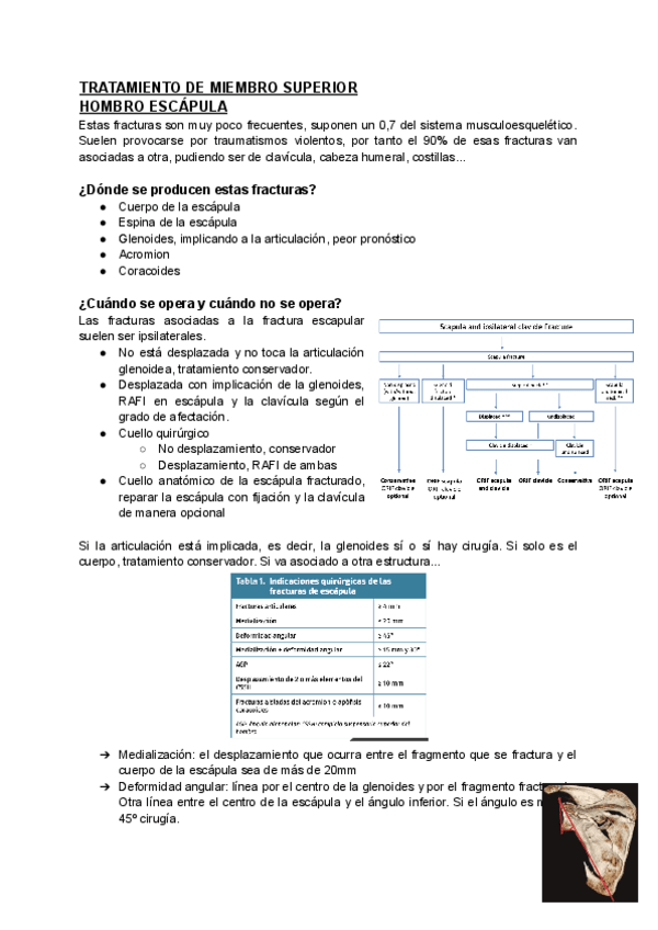 Miniatura del documento MMSS.pdf