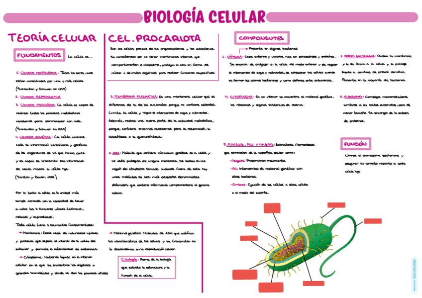 Miniatura del documento biologia.pdf